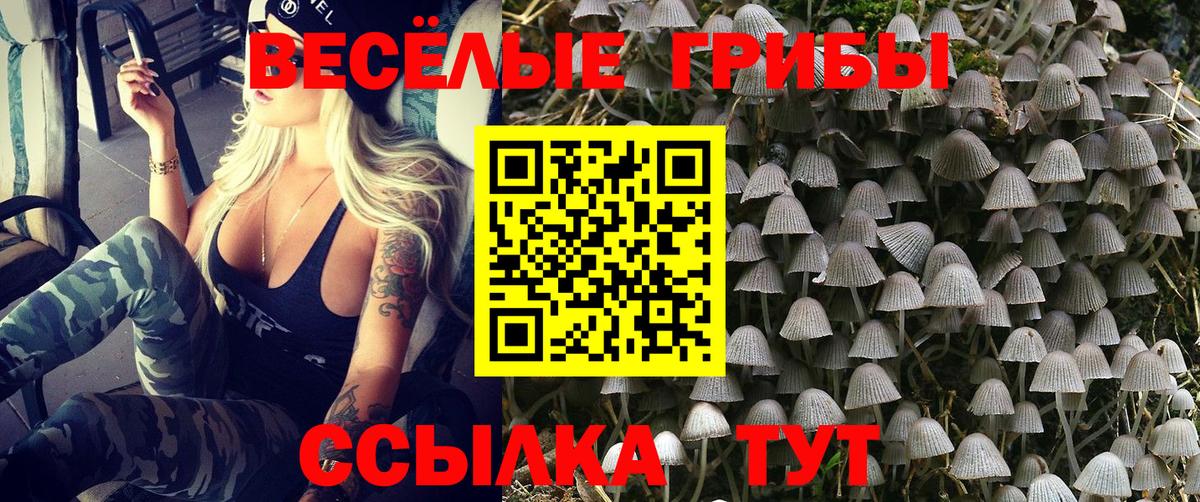 Псилоцибиновые грибы мицелий  Вход с VPN  Зеленогорск  Галлюциногенные грибы мухоморы 