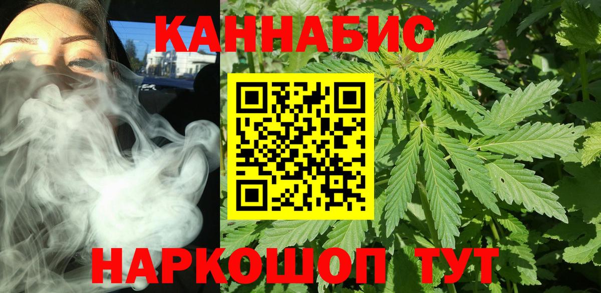 Конопля планчик Зеленогорск